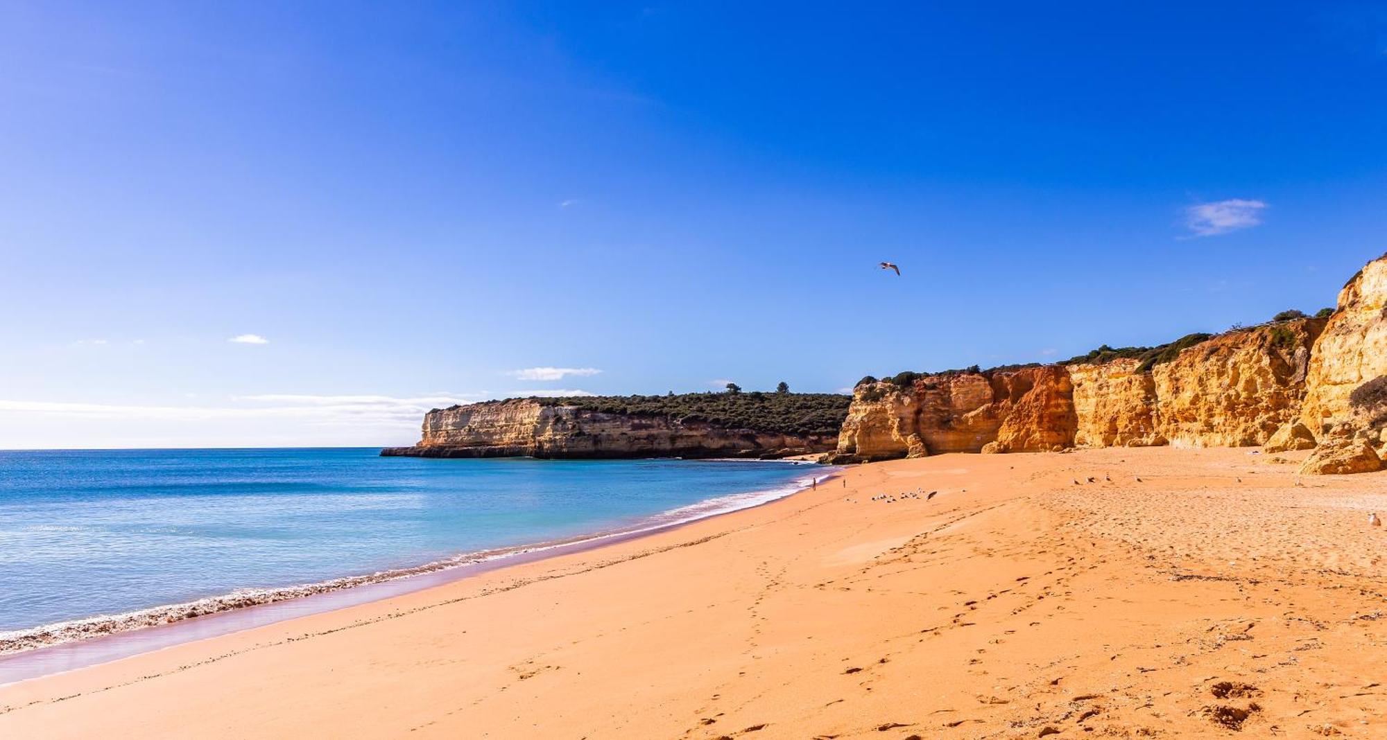 Casa Limao - Senhora Da Rocha, Algarve Lägenhet Porches  Exteriör bild